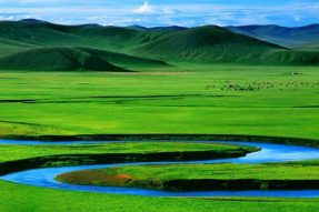 8月的内蒙古牧草茂盛,最佳旅游月