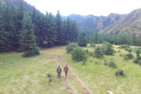 内蒙古阿拉善盟实施天然林保护工程、退牧还林及自然保护区建设等生态见证了绿色奇迹