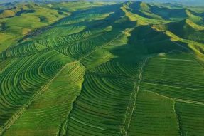 生态建设耕耘路 青山绿水画赤峰