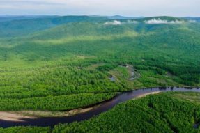 乌海人治沙、平沙、用沙,用智慧众手播绿绣山川