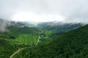 “山水宁城”矗立起绿色丰碑