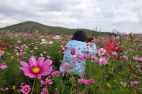 赤峰市松山区：近郊大兴隆演绎别样秋日风光