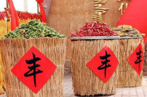 巴彦淖尔市乌拉特后旗金秋“晒”幸福 喜迎大丰收