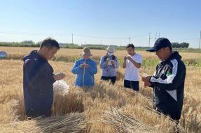 巴彦淖尔市乌拉特中旗专家人才下基层 乡村振兴添活力