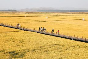 活力涌动 再立新功——科右前旗全力推进乡村振兴