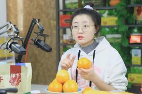 巴彦淖尔市五原县发展壮大黄柿子产业走出特色“黄金路”