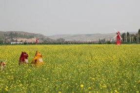准格尔旗精细“绣花”扮靓城市，建设美丽宜居新城乡