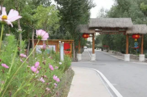 “五人小组”在线 富了村子暖了人心