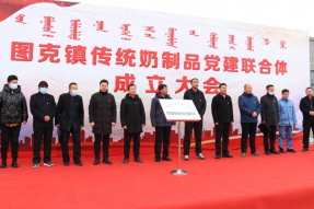 乌审旗：党建引领聚合力 乡村振兴赋新能