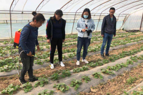 巴彦淖尔：科学育才 培养高素质农民