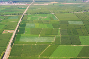 五原县：提升耕地质量 筑牢粮食安全