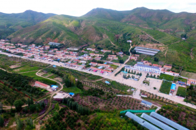 林西县新城子镇：“生态礼包”升级“绿色银行”