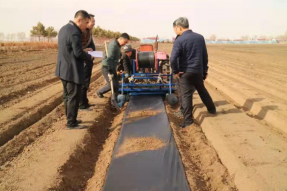 扎赉特旗：推广大豆玉米带状复合种植 助力粮食稳产增产