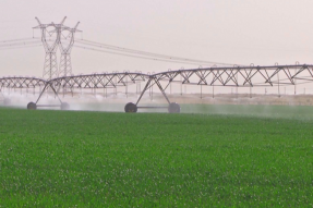 巴彦淖尔：节水农业  向科技要效益