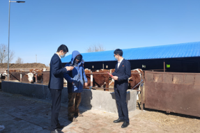 通辽经济技术开发区：金融助力春耕生产和接羔保育