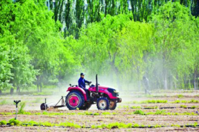 乌海市：生态绿化“打底” 提升城市“颜值”