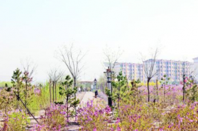 乌海市海南区：绘就生态环境新画卷