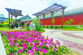 呼和浩特：小“口袋”里装风景 街角尽显方寸美