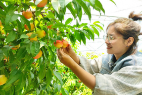 乌海市：激发消费热情 提振市场活力