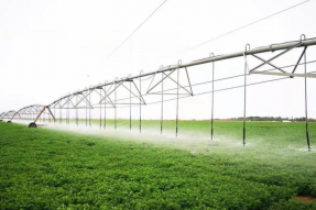 巴彦淖尔：发展节水农业 向科技要效益