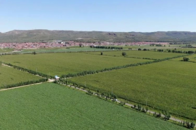 凉城县绿色有机农业的“蜕变”之路